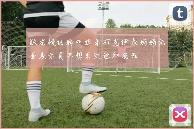 狄龙模仿狗叫逗乐布克伊森妈妈无奈表示真不想看到这种场面